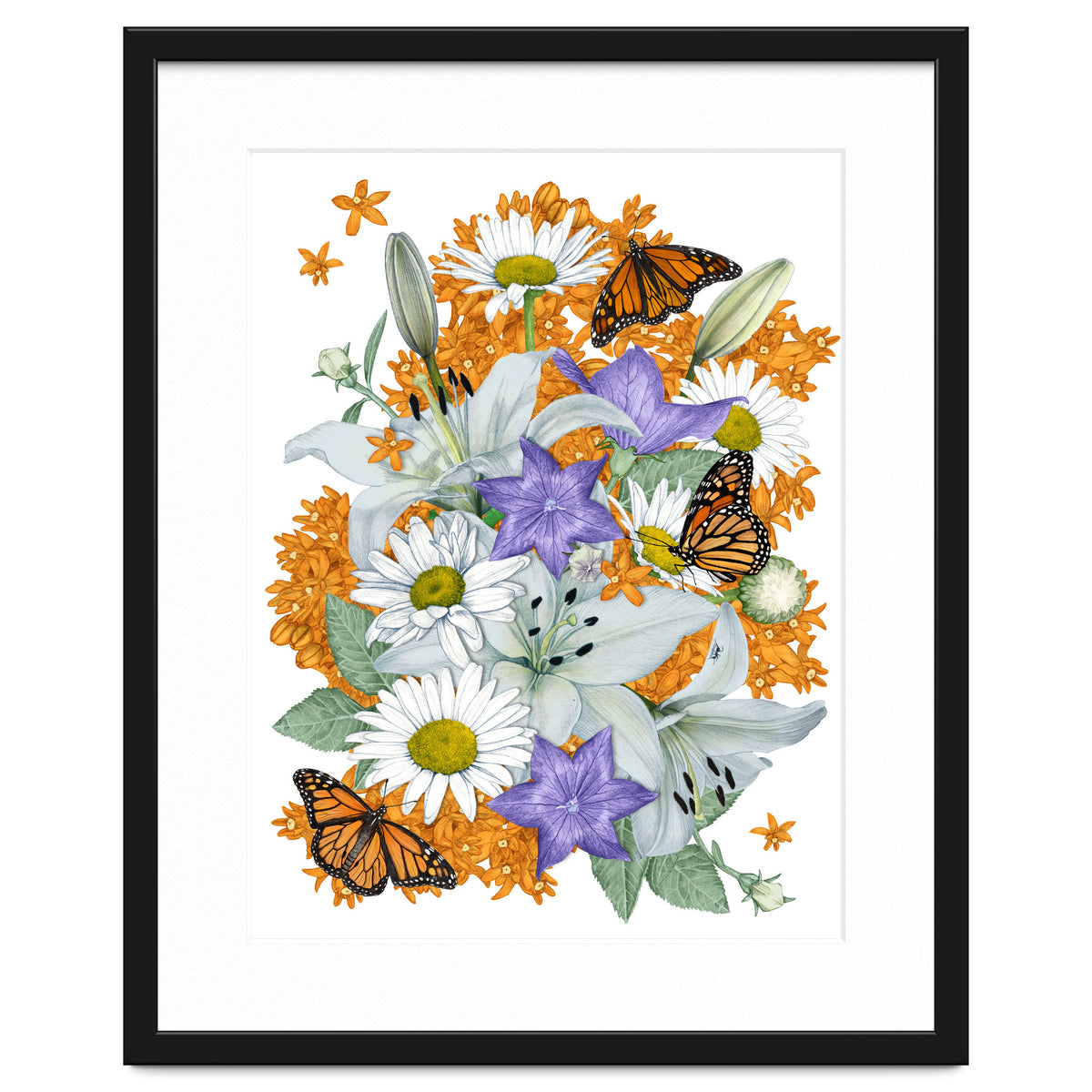 Lillies and Monarchs