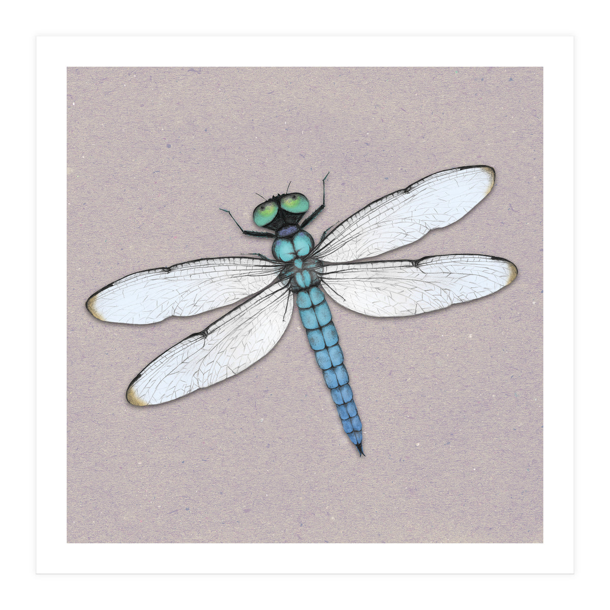 Blue dragonfly (Print Only)
