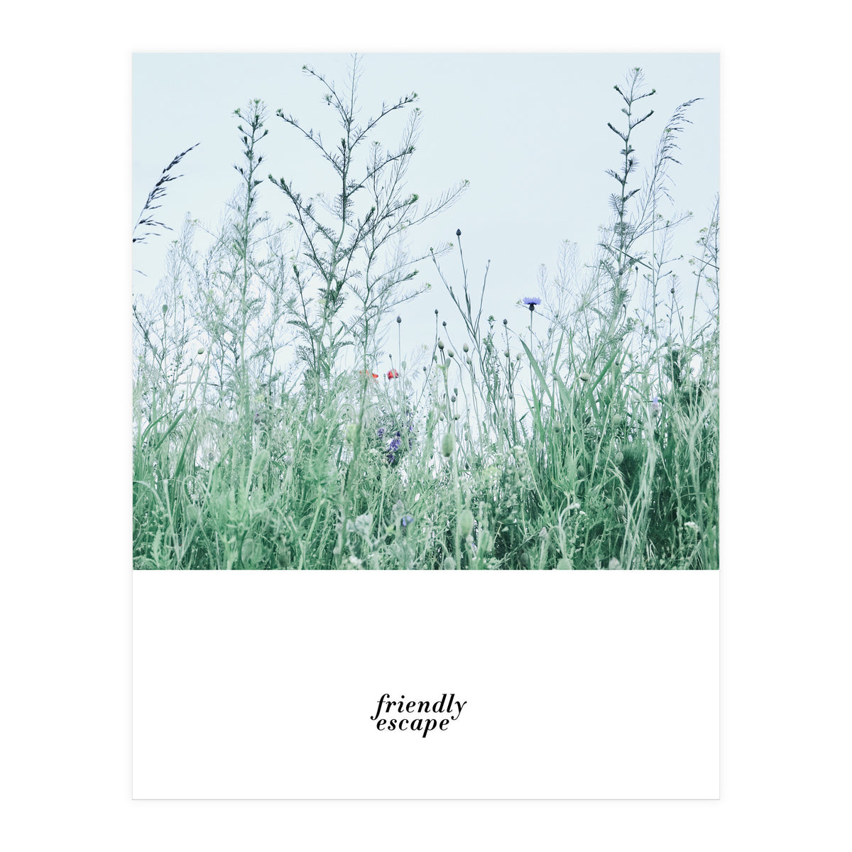 Friendly escape - Nature Photography - (Print Only)