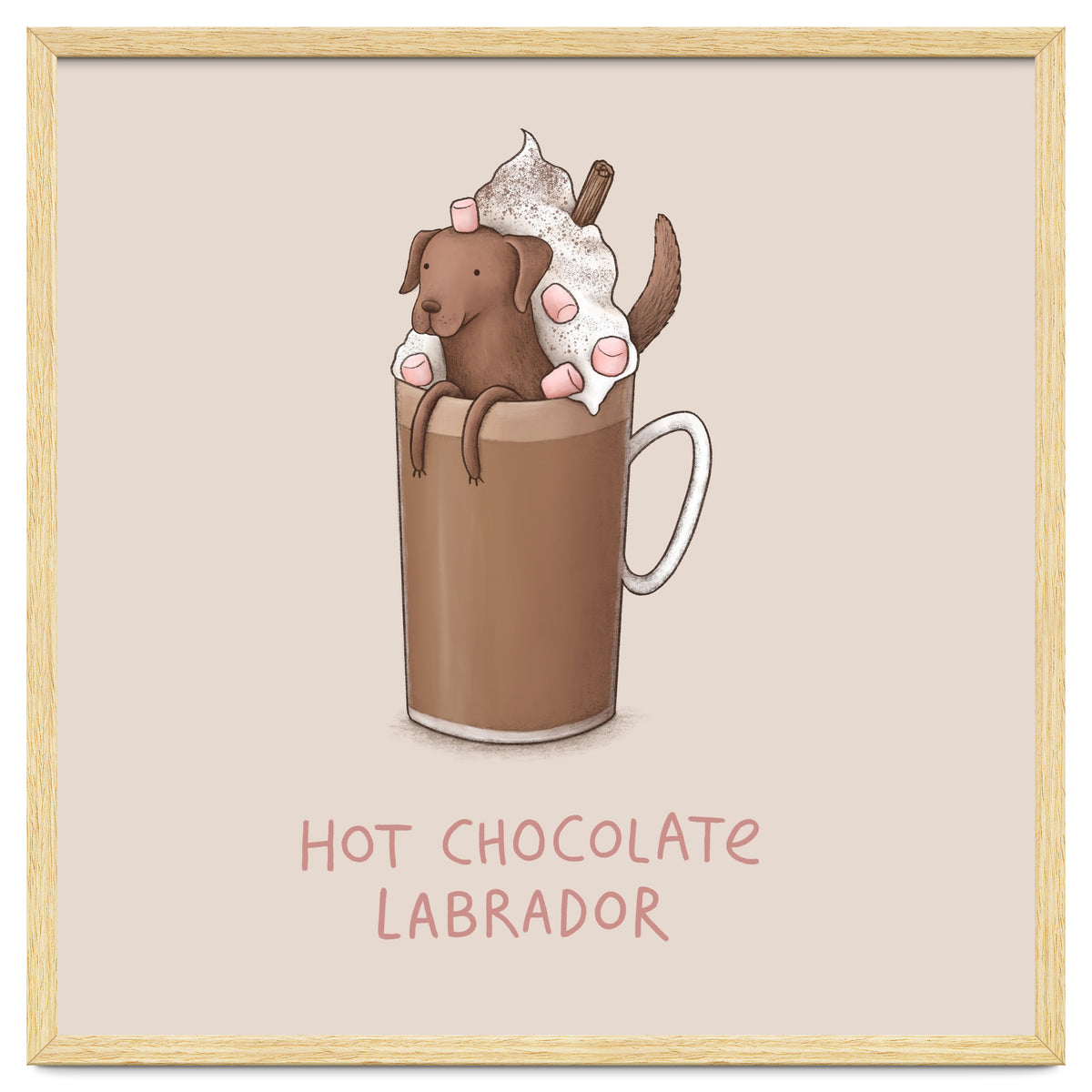 Hot Chocolate Labrador