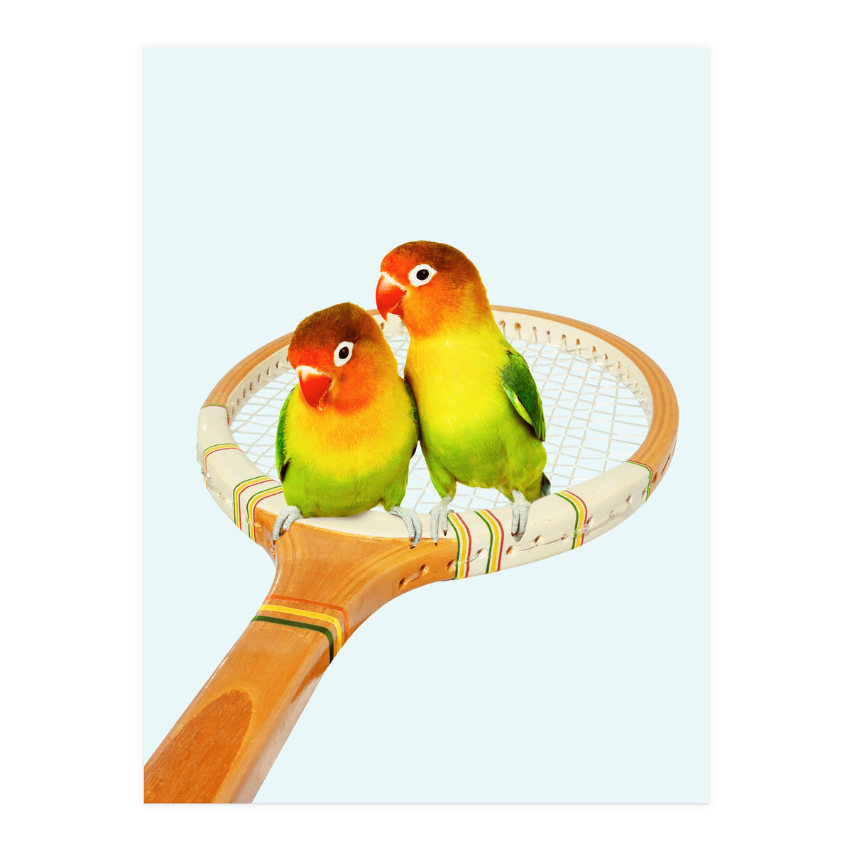 Retro Birds (Print Only)