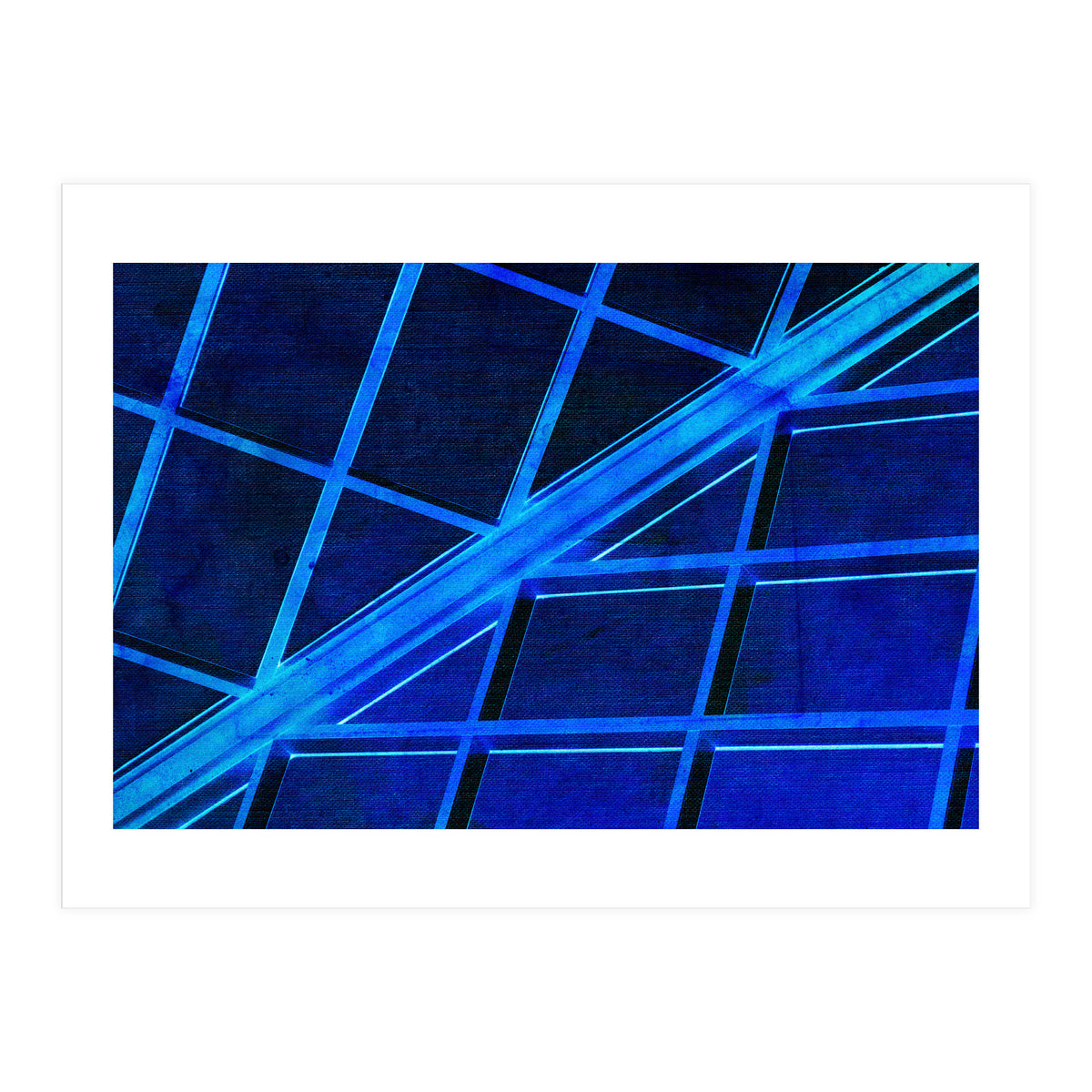 WTnight  (Print Only)