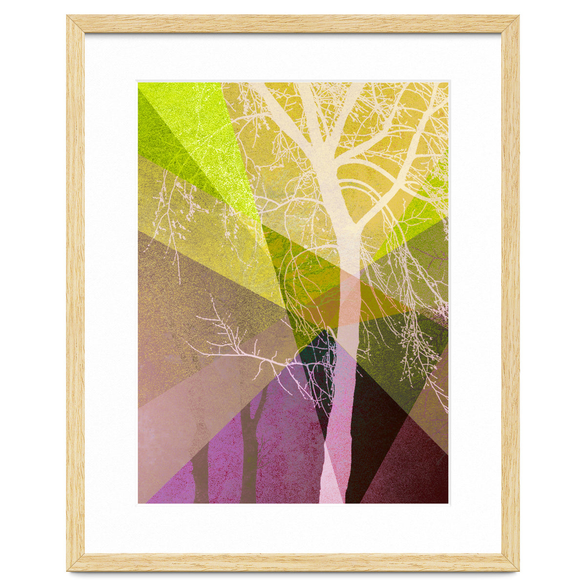 P22 A Trees And Triangles