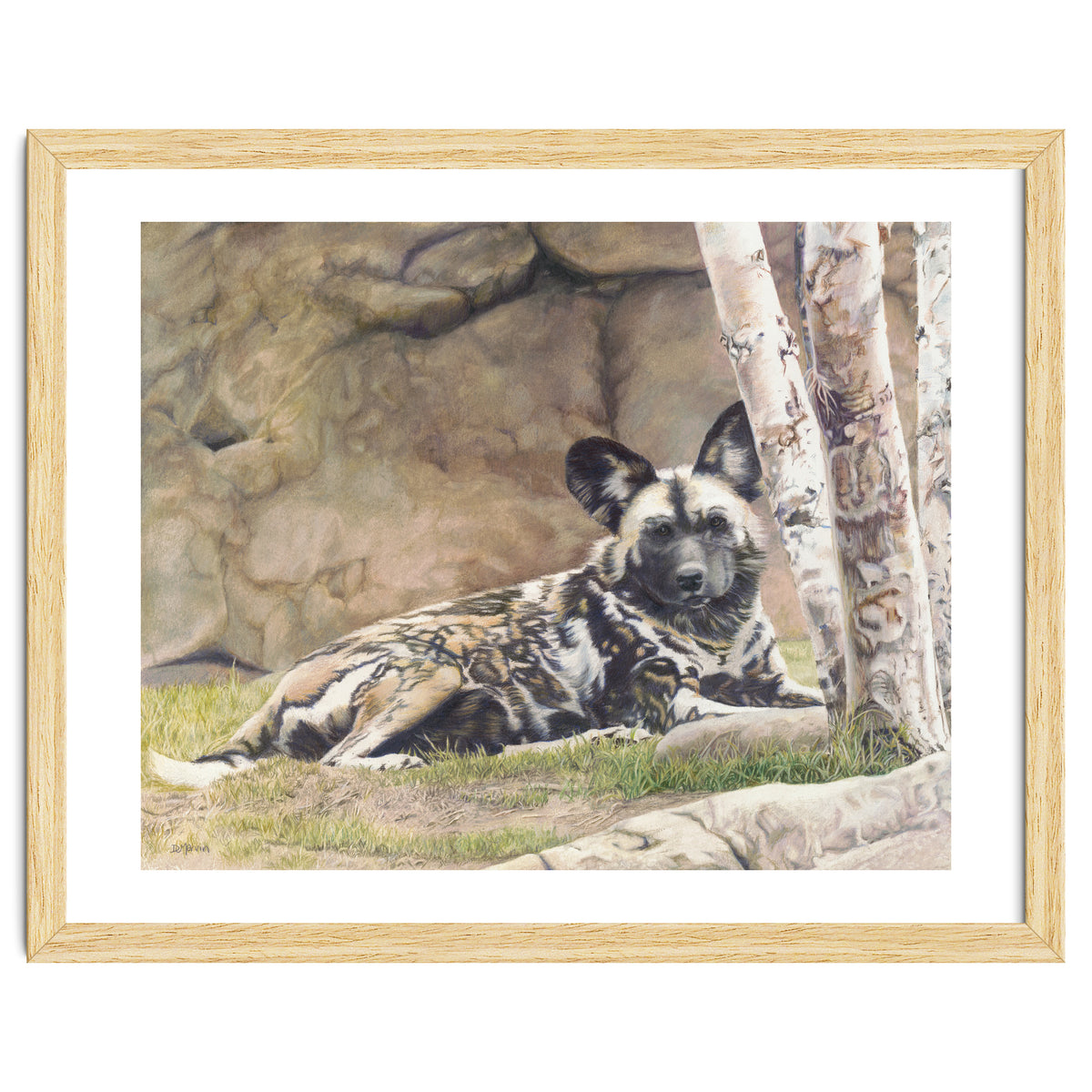 Afican Painted Dog IV - Imara