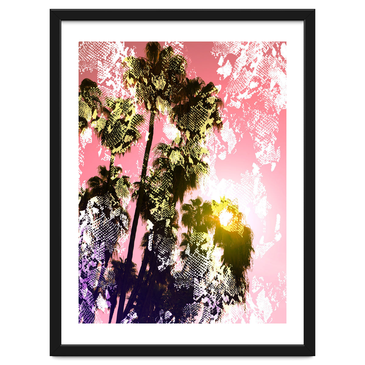 Snake sunset in paradise