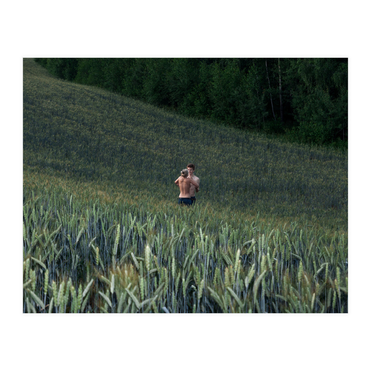 Endless Fields of Summer (Print Only)