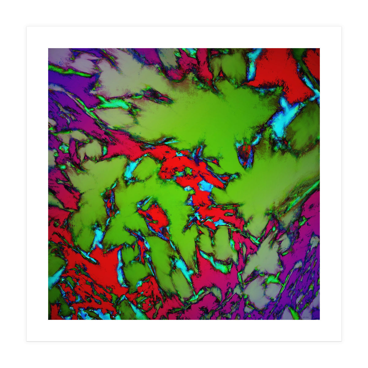 Enclosed Gardens (Print Only)