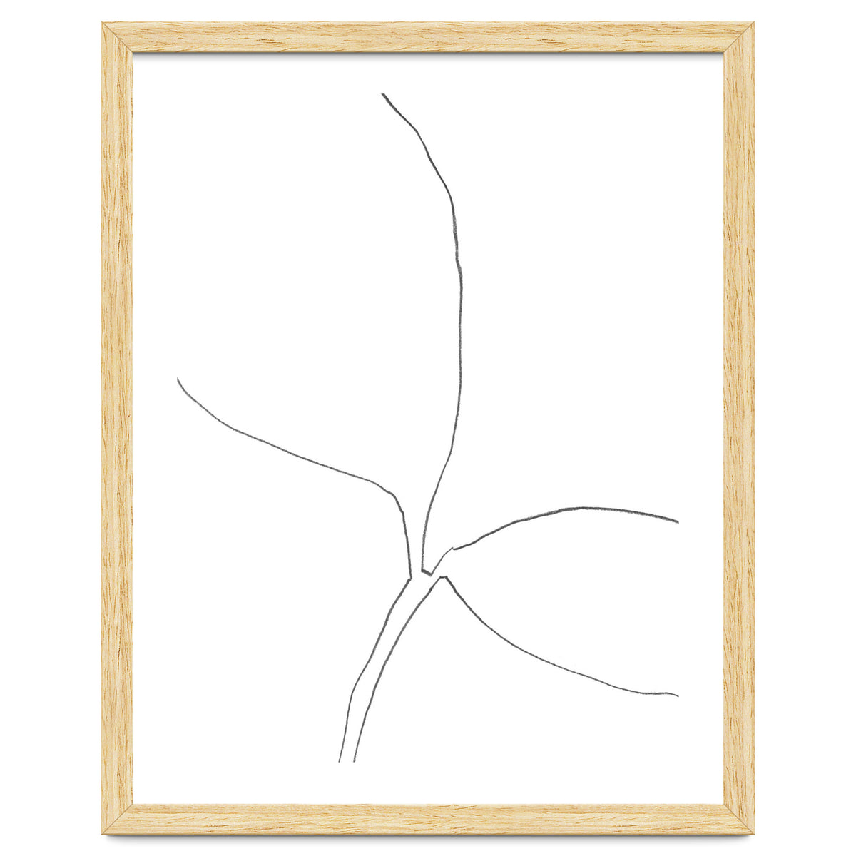 Seedling Leaning Right