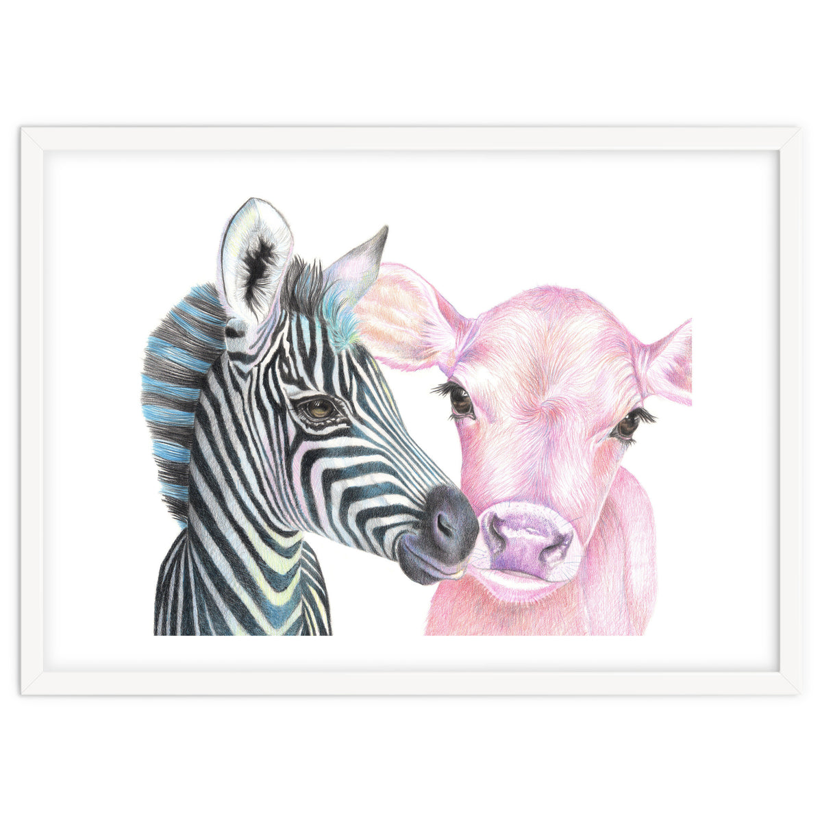 Zebra and Cow