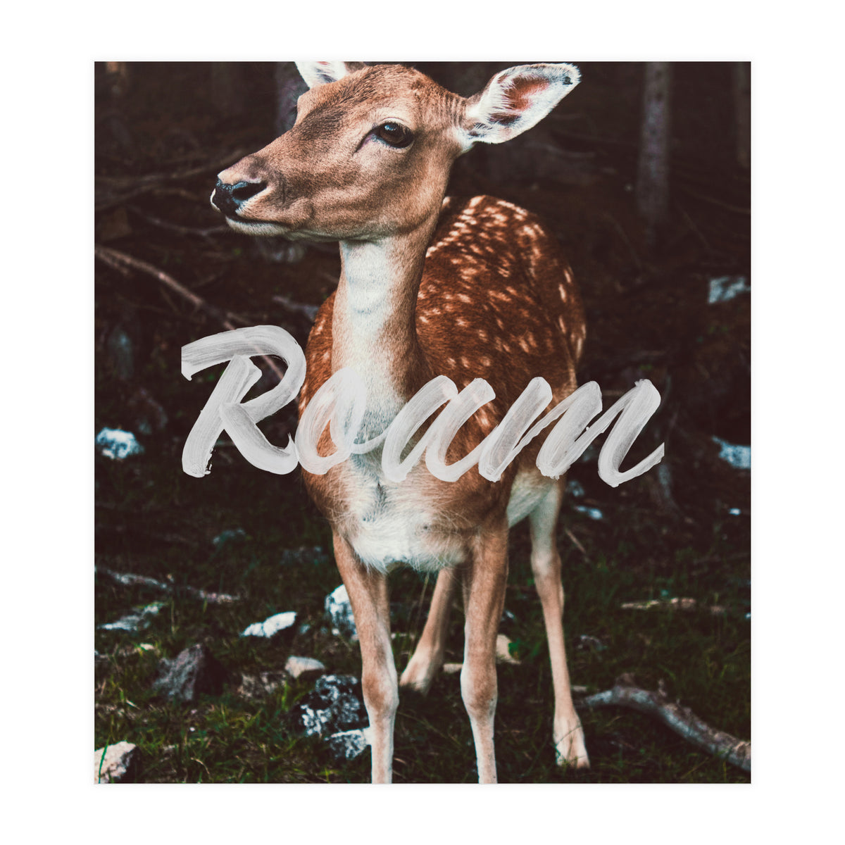 Roam (Print Only)