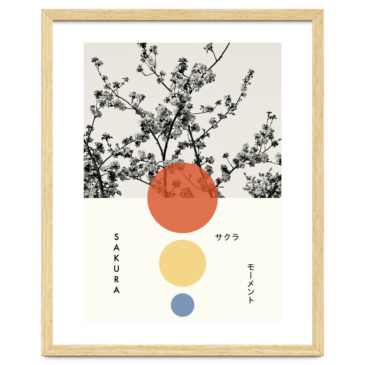 Sakura - Cherry blossom - Japanese - Photography