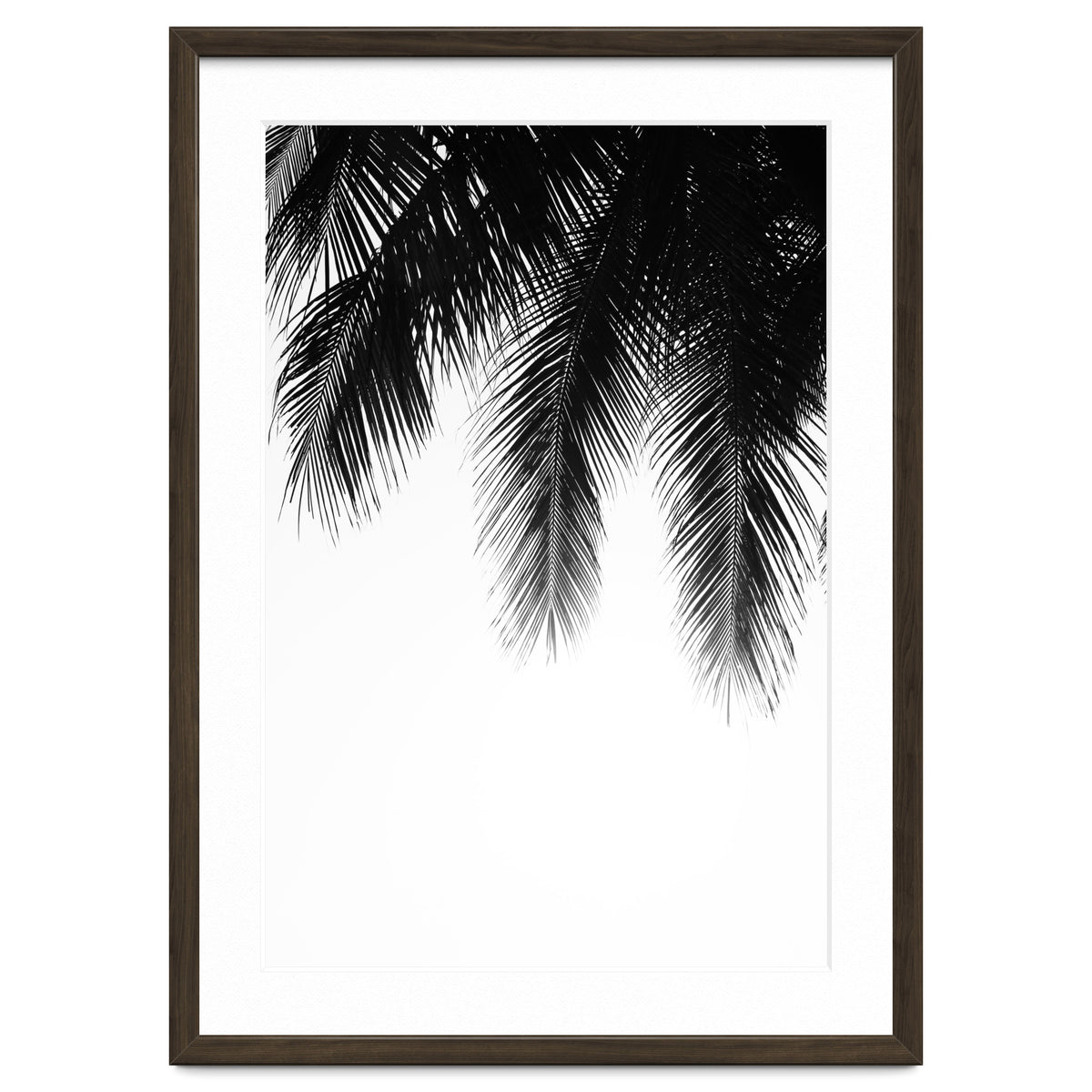 Palm leaves