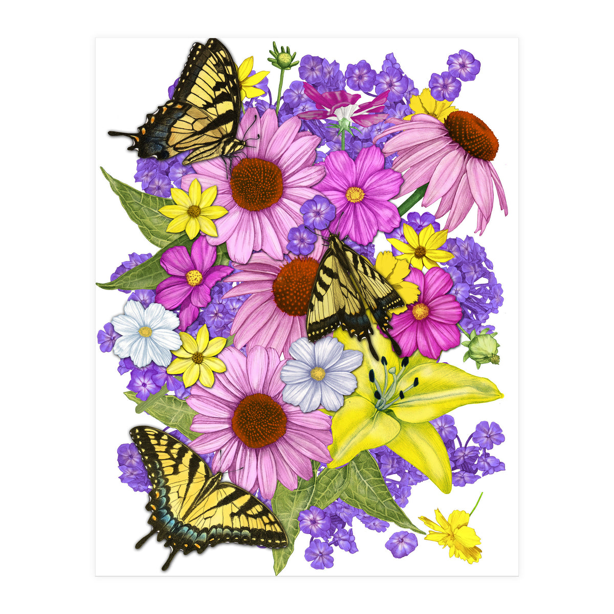 Corn Flowers and Swallowtails (Print Only)
