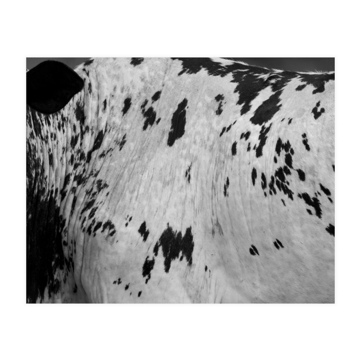 Abstract #3 (Print Only)