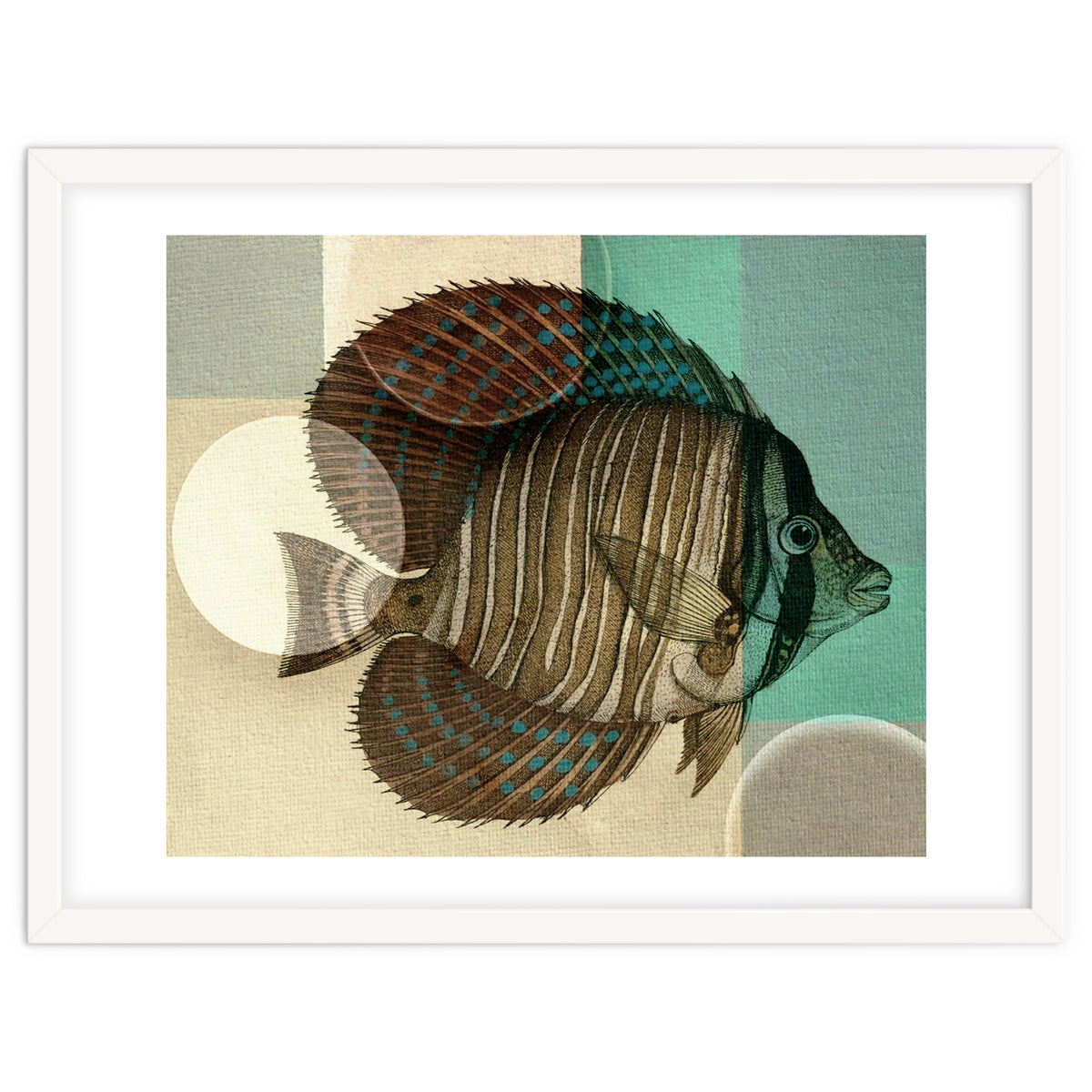 Fish Between Circles 4