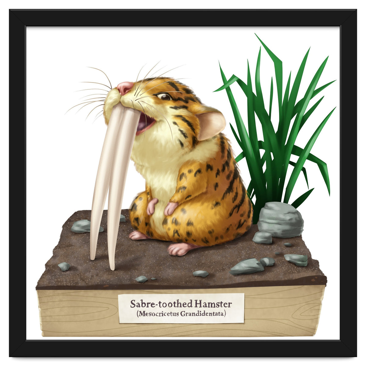 Saber-toothed Hamster