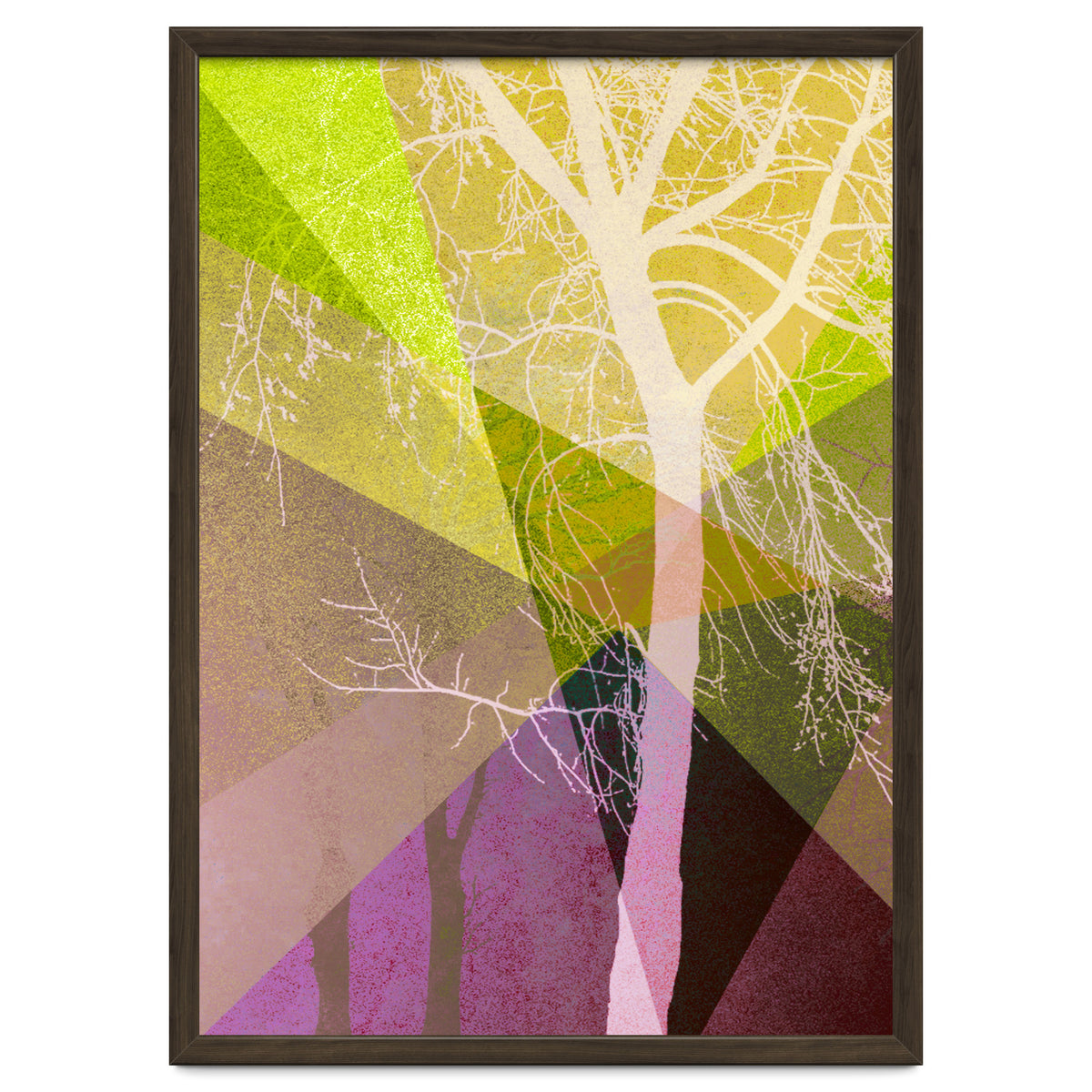 P22 A Trees And Triangles