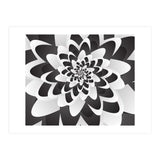 Mono Chrome Flower Spiral   (Print Only) thumbnail