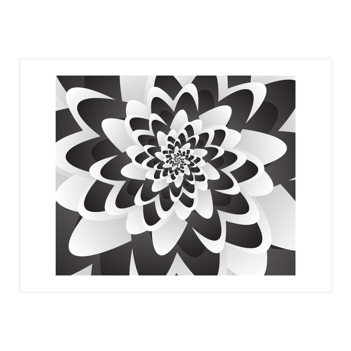 Mono Chrome Flower Spiral   (Print Only)