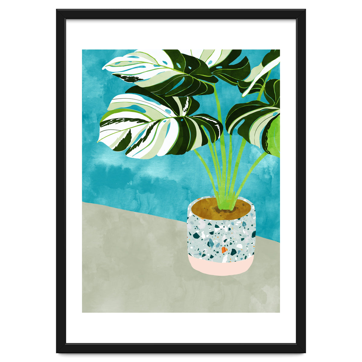 Variegated Monstera