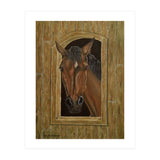 Inquisitive (Print Only) thumbnail
