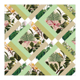 Cubed Vintage Botanicals (Print Only) thumbnail