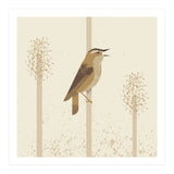 Sedge Warbler (Print Only) thumbnail