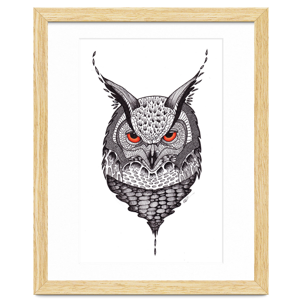Owl
