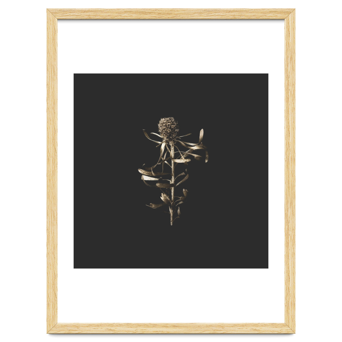 Golden Botanicals -  Square