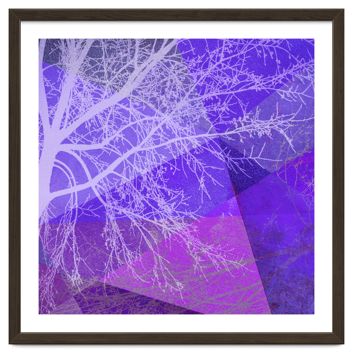 P19-D2 Trees and Triangles