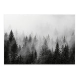 Black and White Forest (Print Only) thumbnail