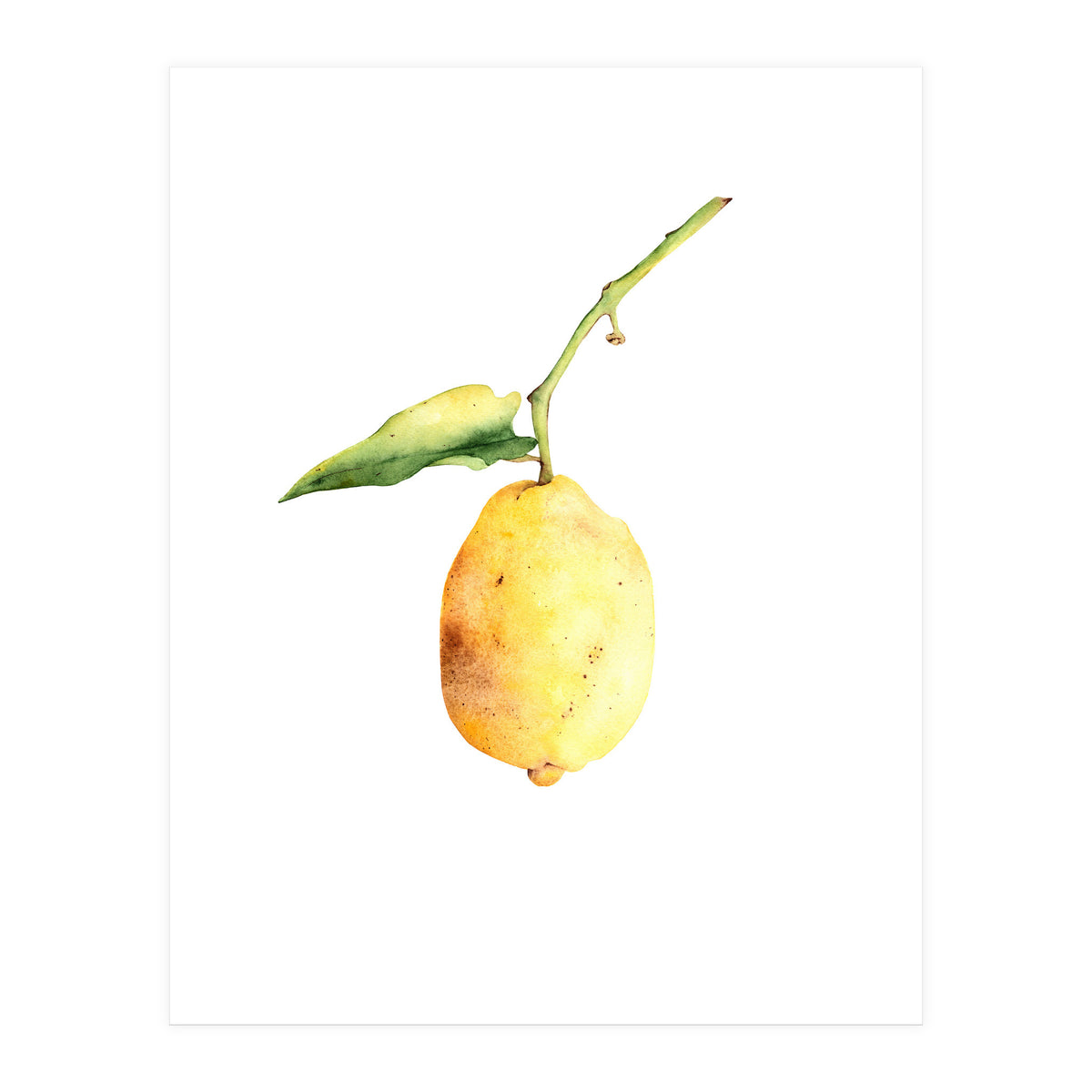 Lemon (Print Only)