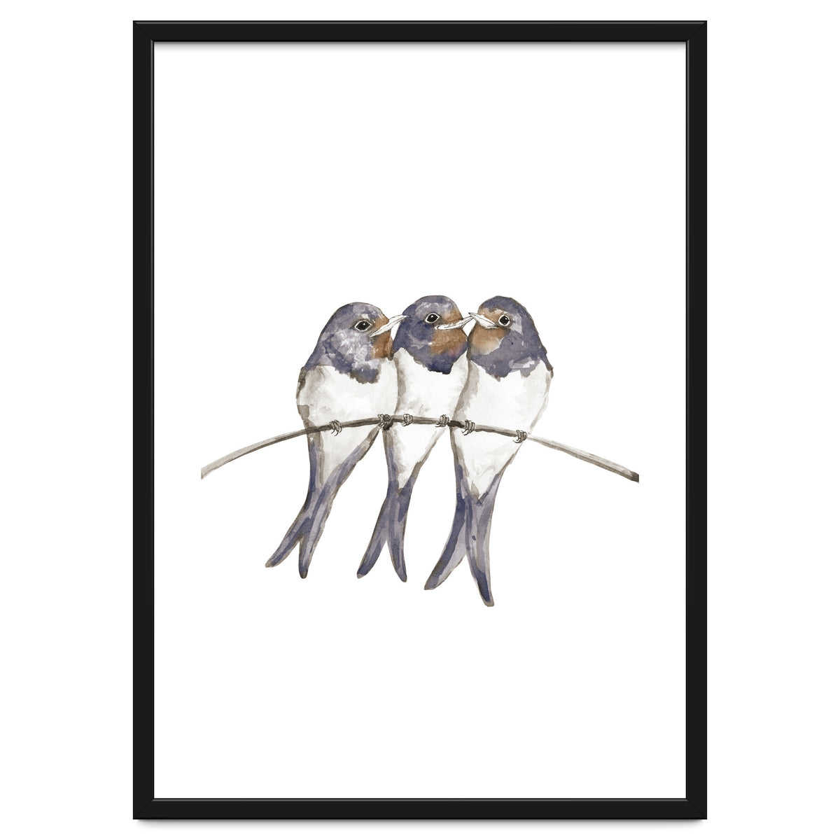 Three young swallows