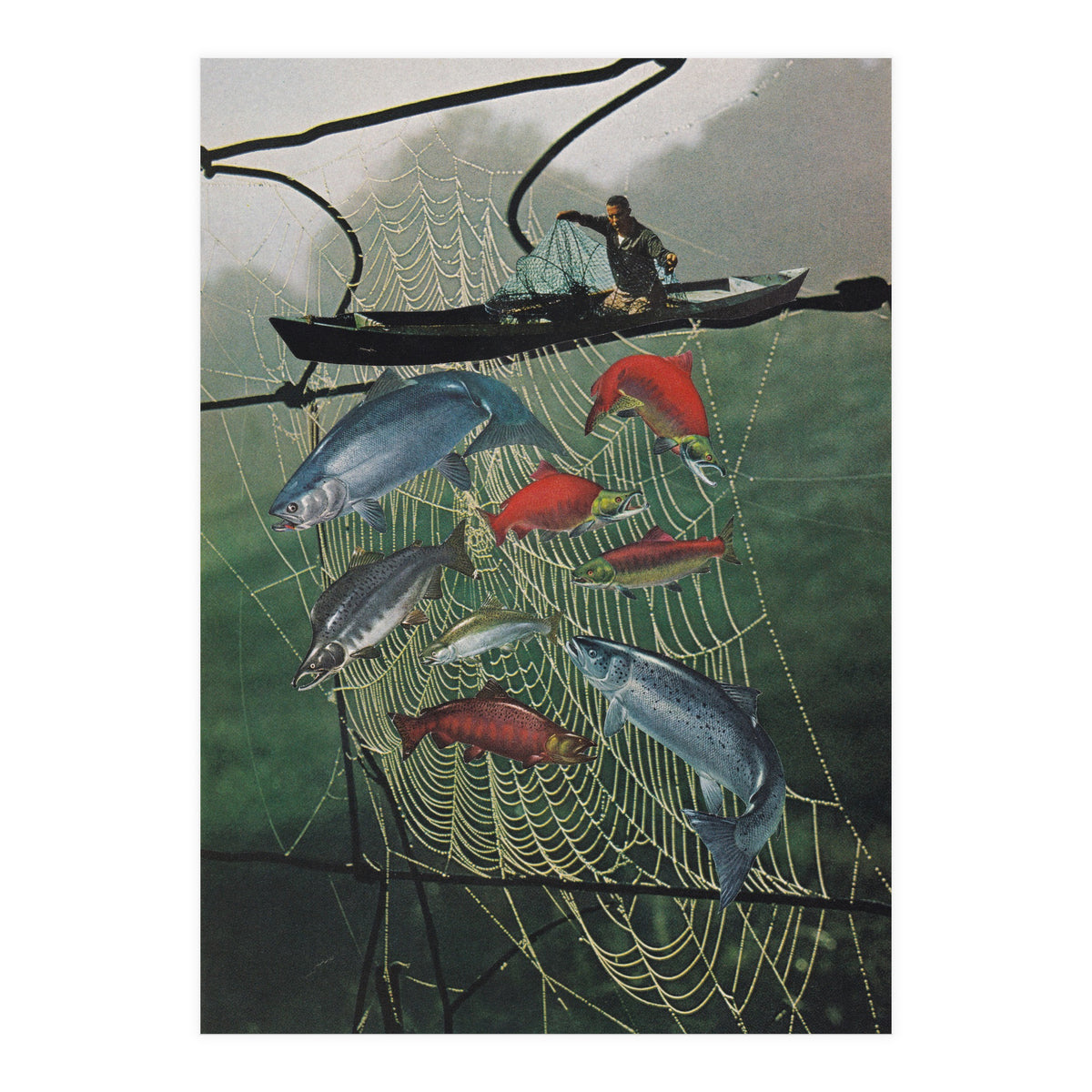 Salmon Trap (Print Only)