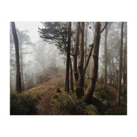 Mt. Davidson I (Print Only)