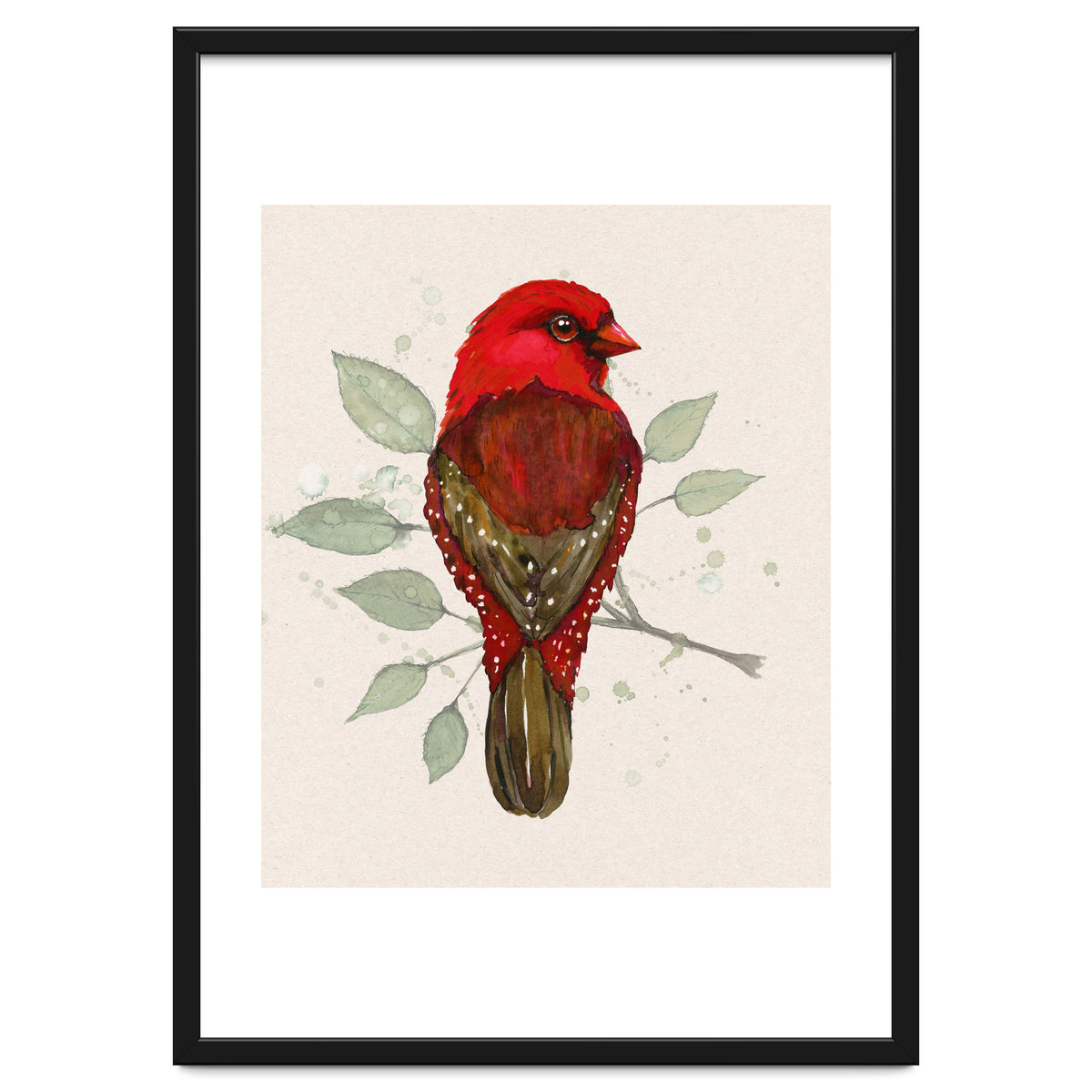 Red avadavat watercolor
