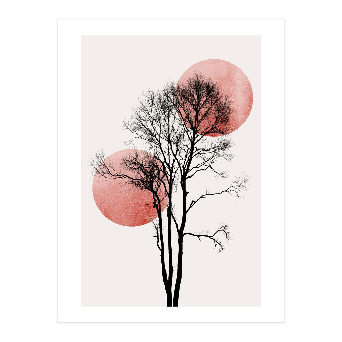 Sun And Moon Hiding Rosè (Print Only)