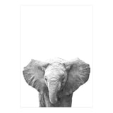 Black and White Baby Elephant  (Print Only) thumbnail