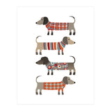 Sausage Dogs In Sweaters (Print Only) thumbnail