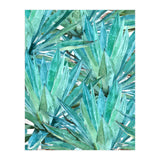 Agave  (Print Only) thumbnail