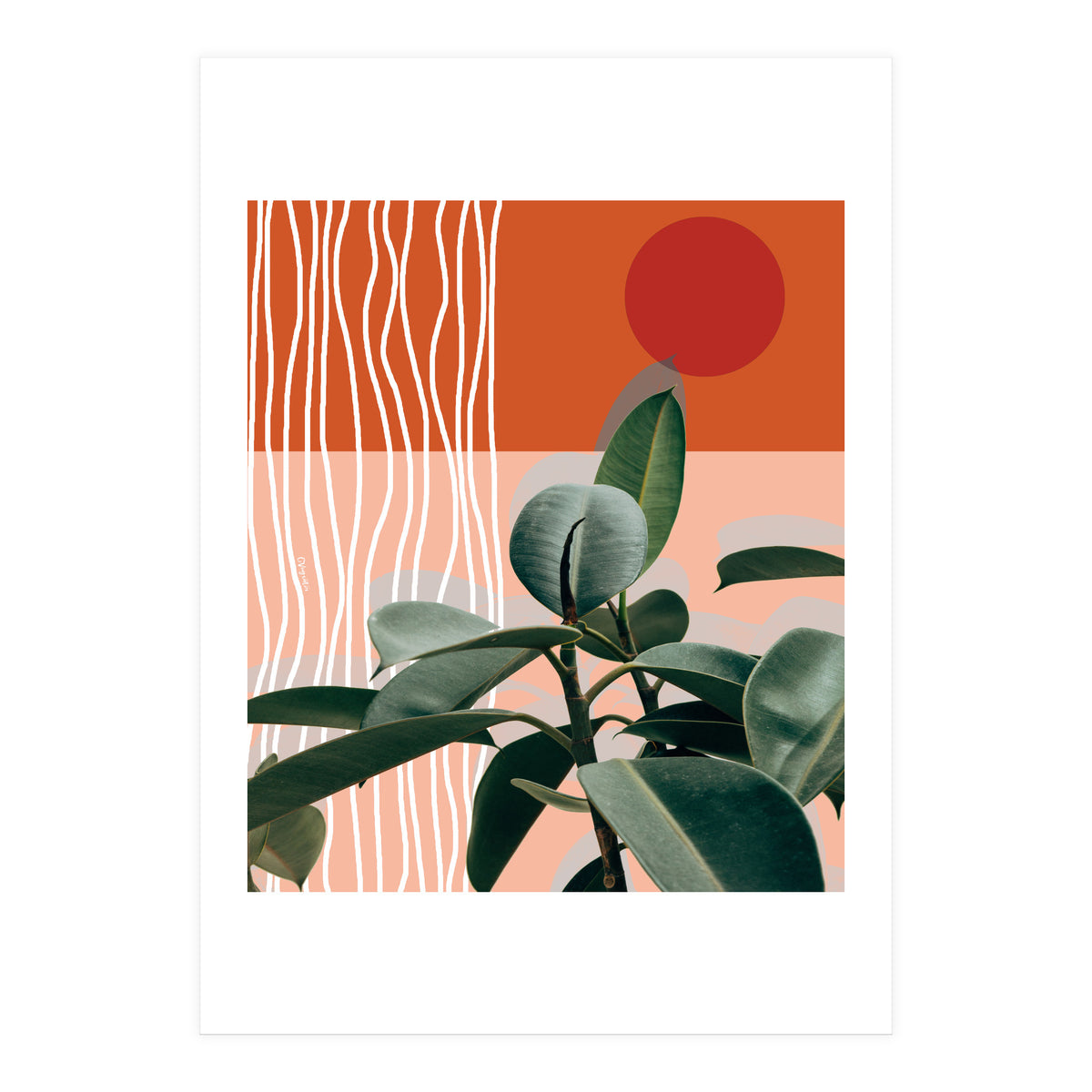 Times of a Growing Plant (Print Only)