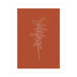Line Art Botanical Terracotta (Print Only) thumbnail