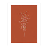 Line Art Botanical Terracotta (Print Only)