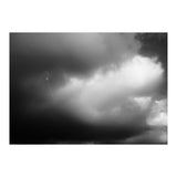 The Kite (Print Only) thumbnail
