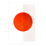 Seagulls Of The Sun (Print Only) thumbnail