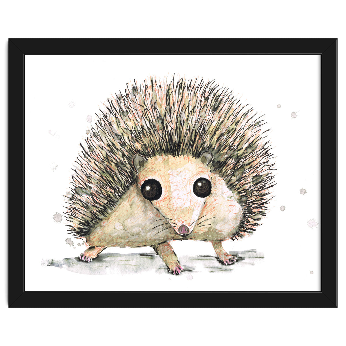 Hedgehog