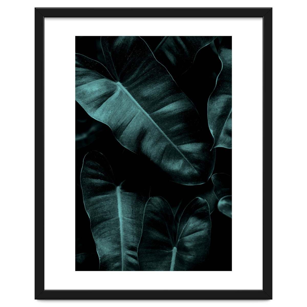 Dark Leafs