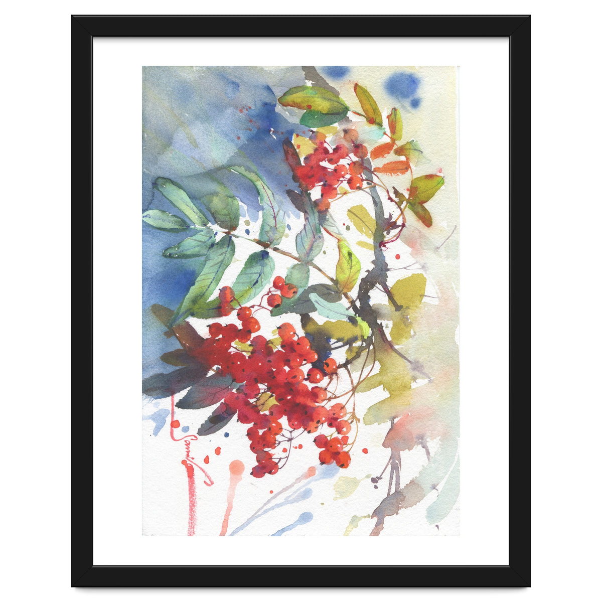 Viburnum / Guelder rose