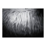 hair (Print Only) thumbnail