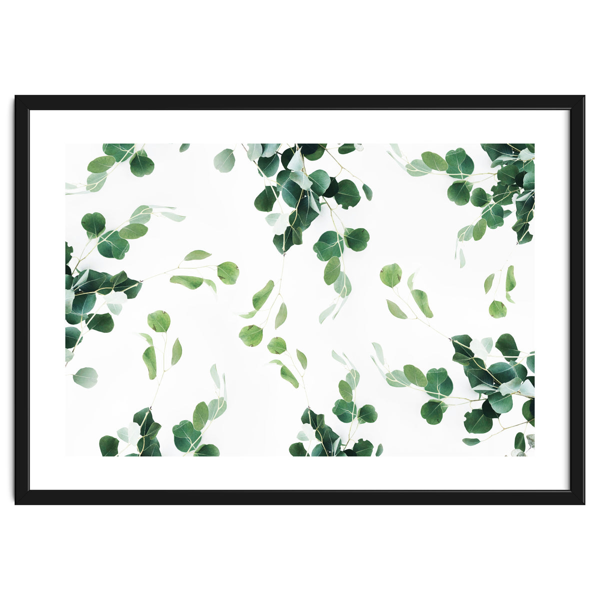 Botanical Celebration